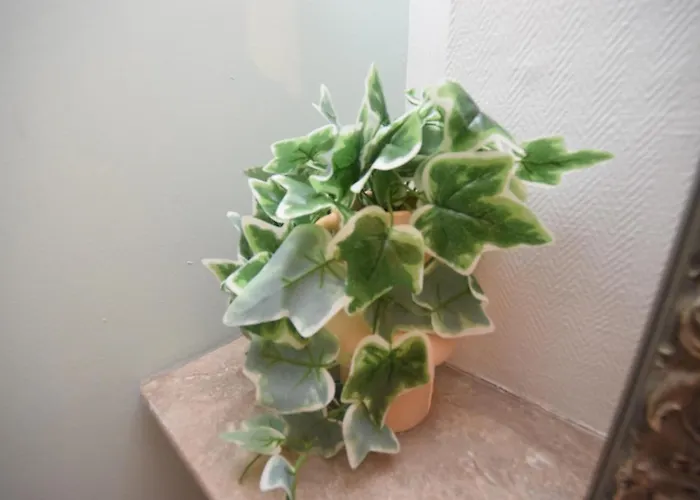 Lerelaisdodile23 - Parking - Lumineux - Hyper Centre *