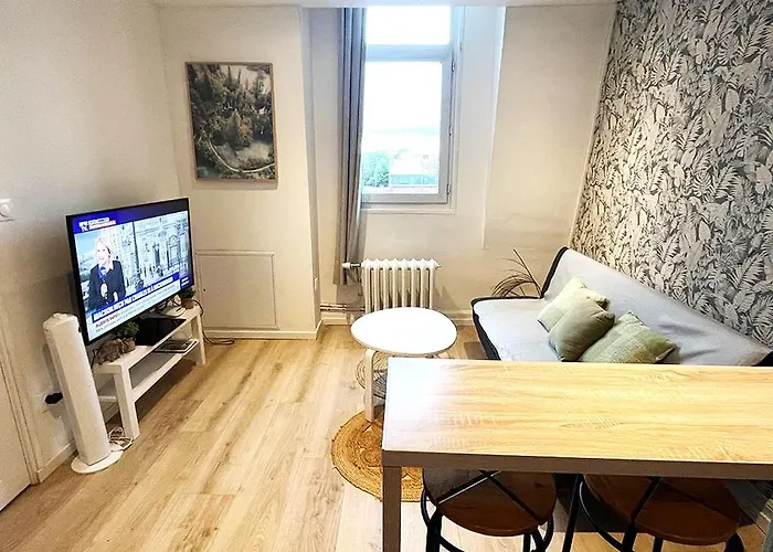 Lerelaisdodile23 - Parking - Lumineux - Hyper Centre Appartement *